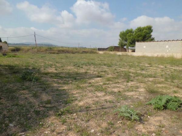 Terreno en Pinoso photo 3