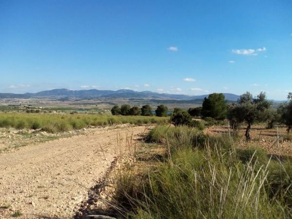 Terreno en Pinoso photo 3