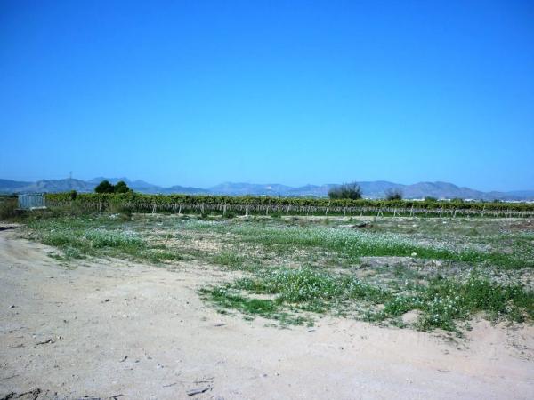 Terreno en Monforte del Cid photo 1