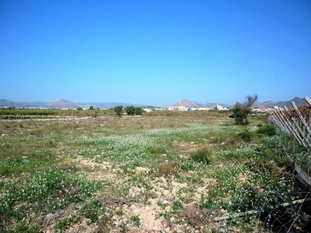 Terreno en venta en Monforte del Cid, Alicante photo 2