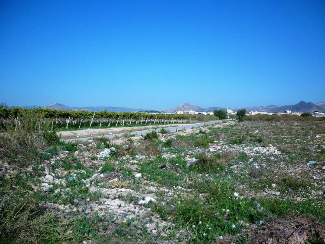 Terreno en venta en Monforte del Cid, Alicante photo 3