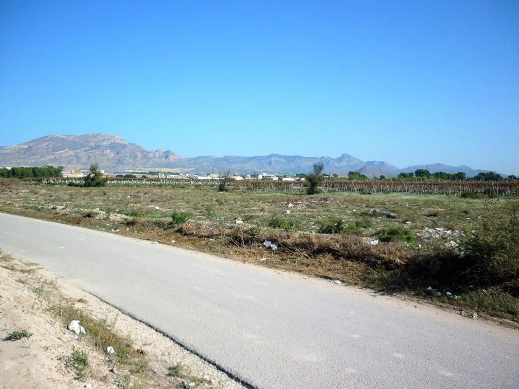 Terreno en venta en Monforte del Cid, Alicante photo 4
