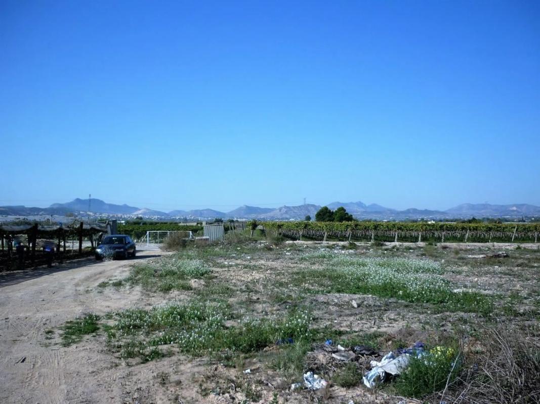 Terreno en venta en Monforte del Cid, Alicante photo 5