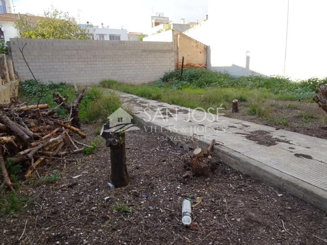Land for sale in Novelda, Alicante photo 1