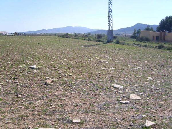 Terreno en Monovar photo 2