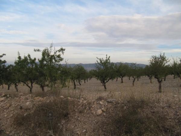 Terreno en Salinas photo