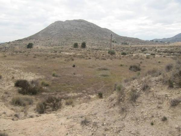 Terreno en Monovar photo 1