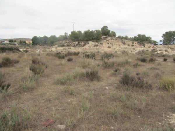 Terreno en Monovar photo 3