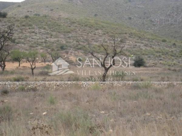 Terreno en Hondón de los Frailes photo 2