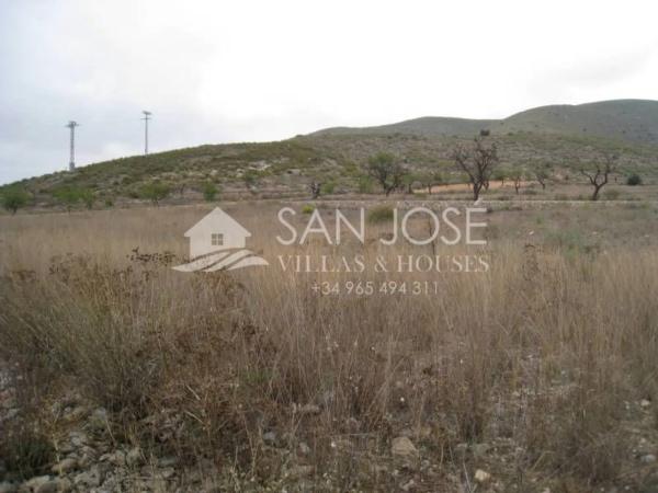 Terreno en Hondón de los Frailes photo 3