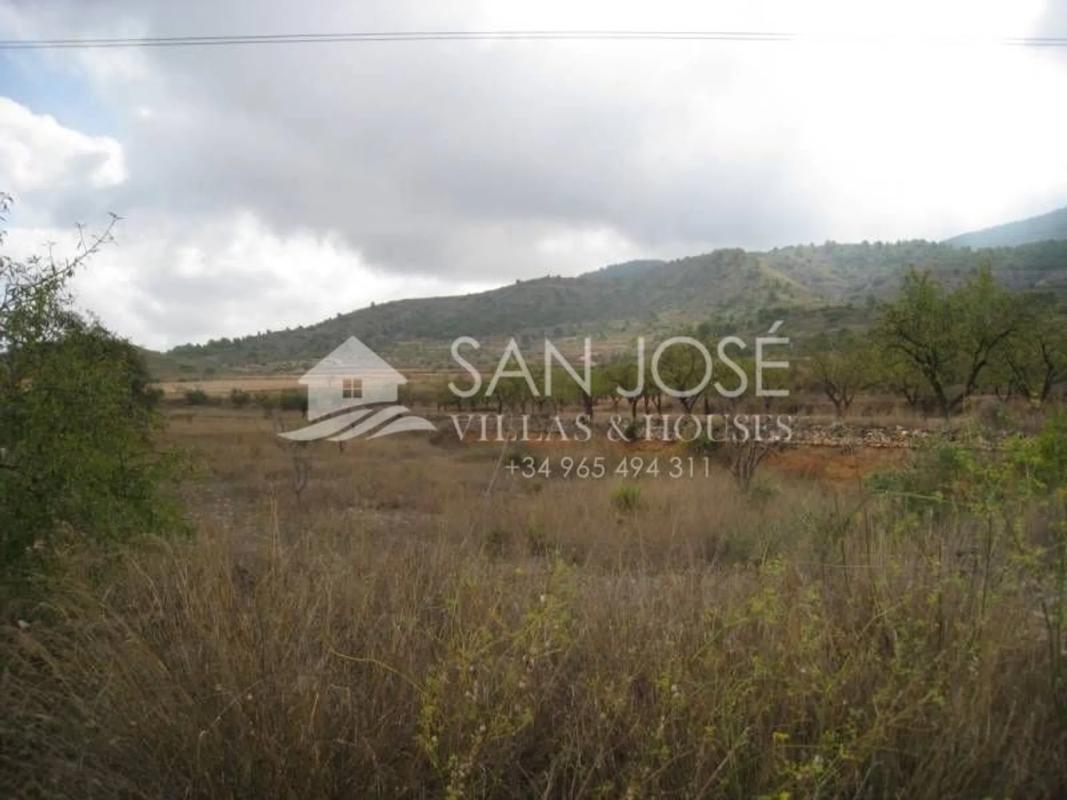 Land for sale in Hondón de los Frailes, Alicante photo 1