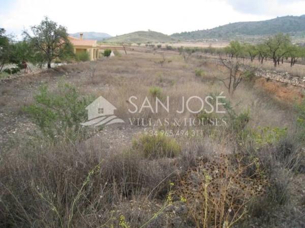 Terreno en Hondón de los Frailes photo 2