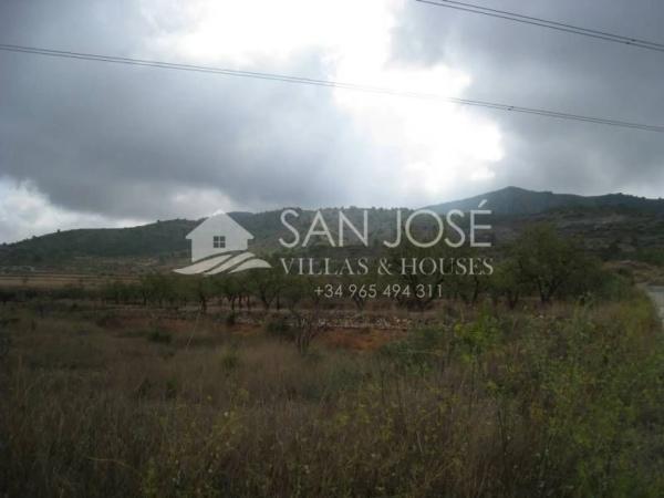 Terreno en Hondón de los Frailes photo 3