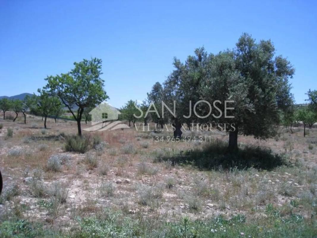 Terreno en venta en Hondón de los Frailes, Alicante photo 1