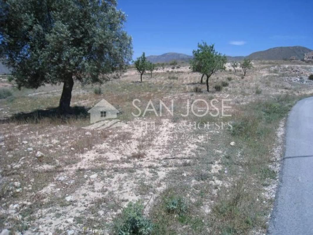 Terreno en venta en Hondón de los Frailes, Alicante photo 1
