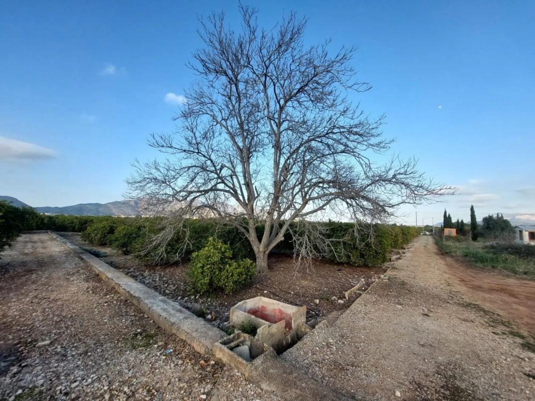Działka na sprzedaż w Benidoleig, Alicante photo 1