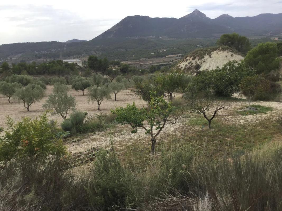Terreno en venta en Tibi, Alicante photo 1