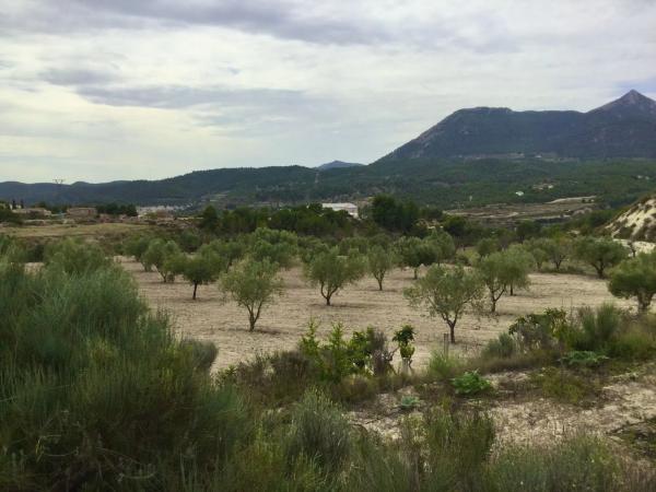 Terreno en Polígono 5 Parcela 72 Llosar. Tibi (alicante) s/n s/n photo 3