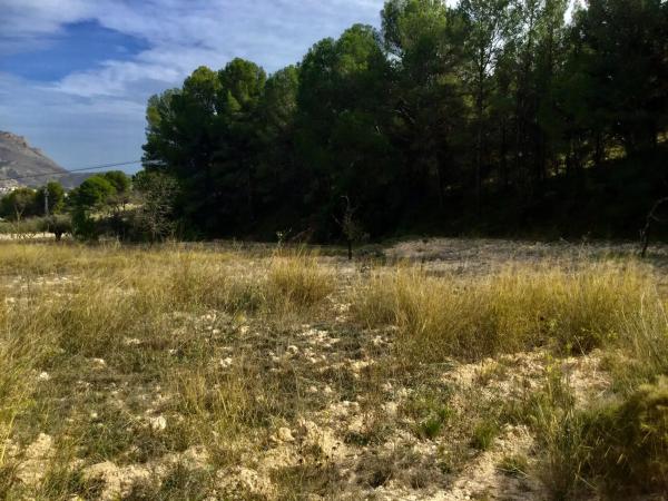 Terreno en Poligono 6 parcela 35 y 36 s/n photo 3