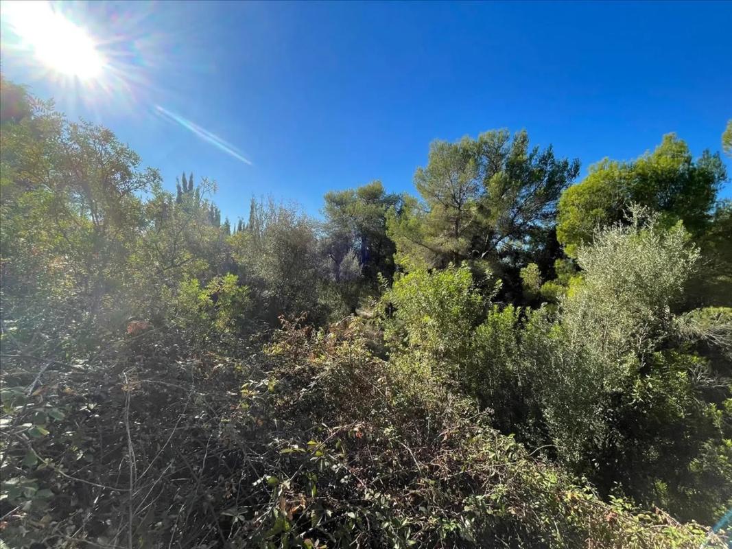 Działka na sprzedaż w Jávea/Xàbia, Alicante photo 3