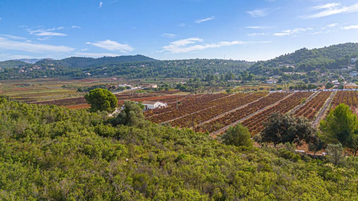 Land for sale in Llíber, Alicante photo 2