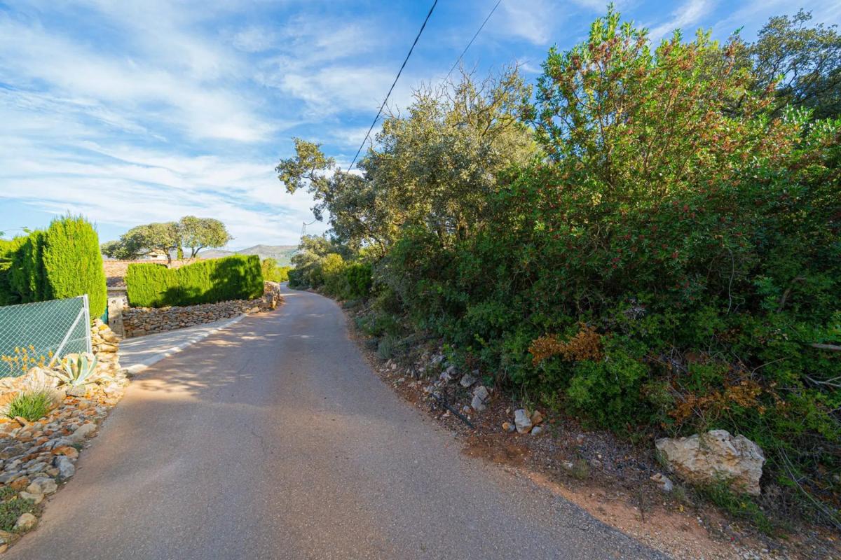 Land for sale in Llíber, Alicante photo 3
