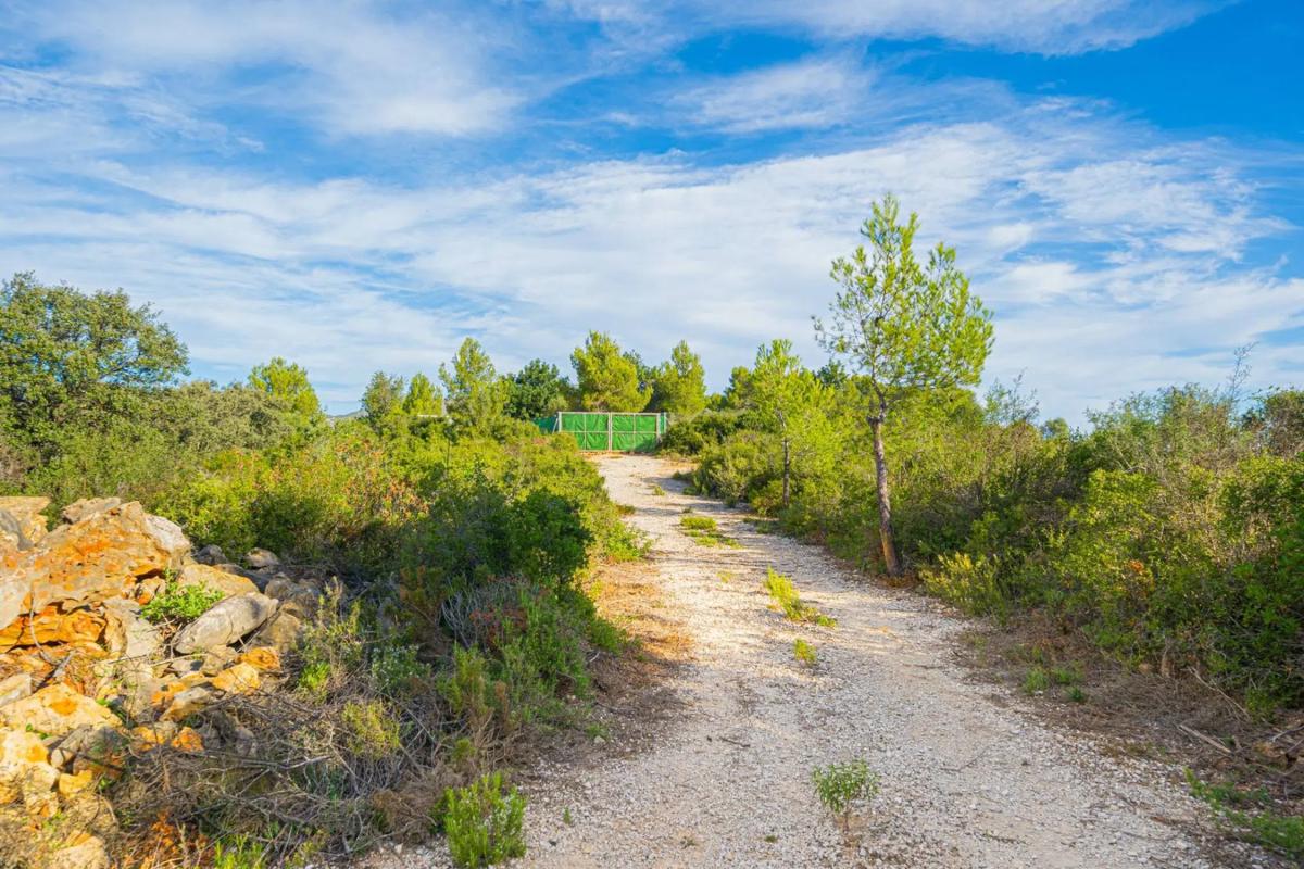 Land for sale in Llíber, Alicante photo 4