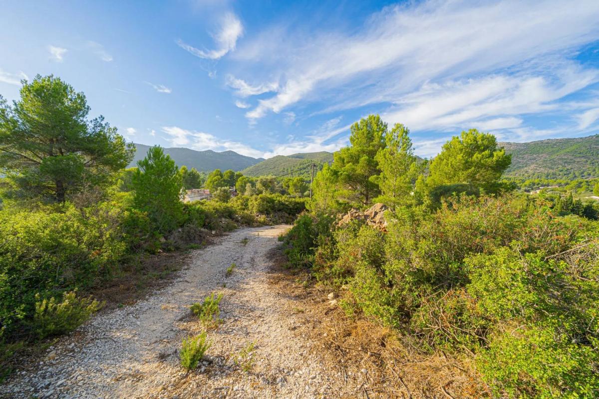 Land for sale in Llíber, Alicante photo 5