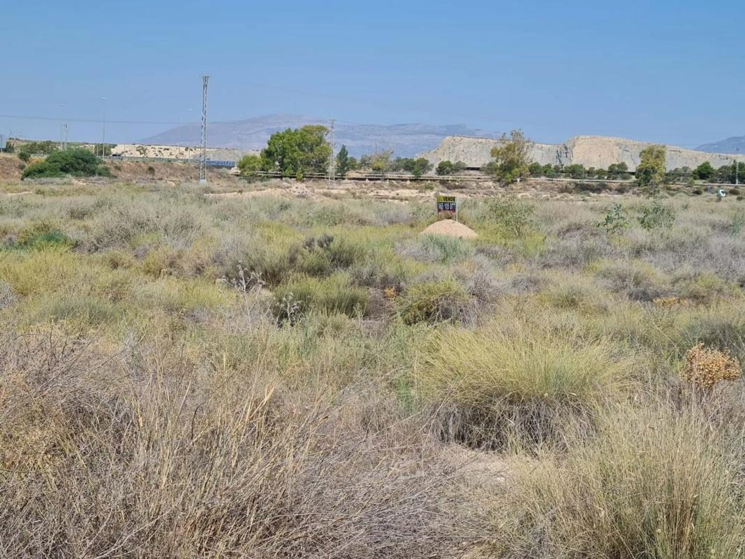 Terreno en venta en Alicante / Alacant, Alicante photo 5