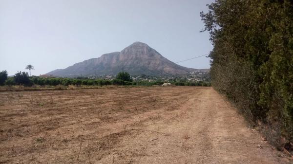 Terreno en camino Pla de en Roca s/n thumbnail 1
