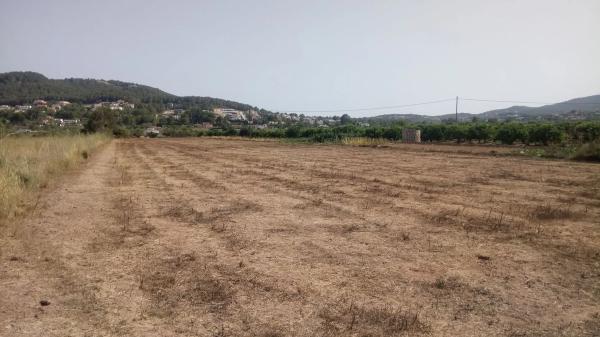 Terreno en camino Pla de en Roca s/n photo 3