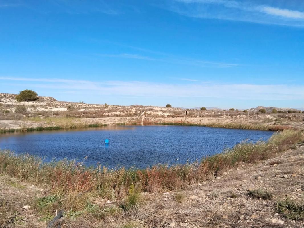 Terreno en venta en Orihuela, Alicante photo 2