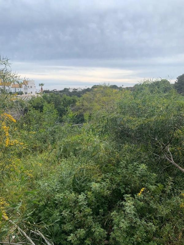 Land for sale in Orihuela, Alicante photo 2
