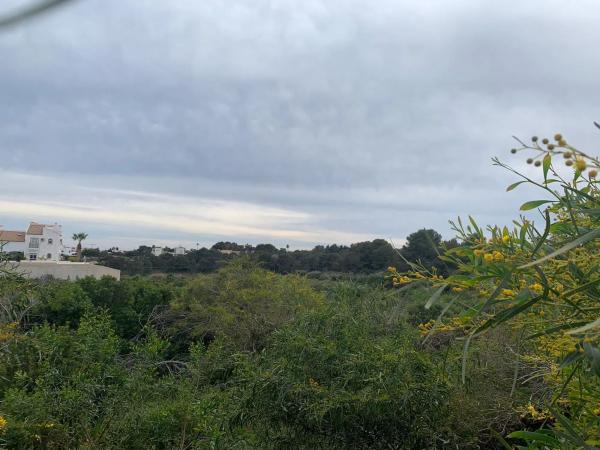 Terreno en carretera San Miguel Salinas, 26 thumbnail 2