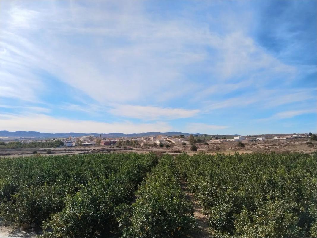 Terreno en venta en Orihuela, Alicante photo 3