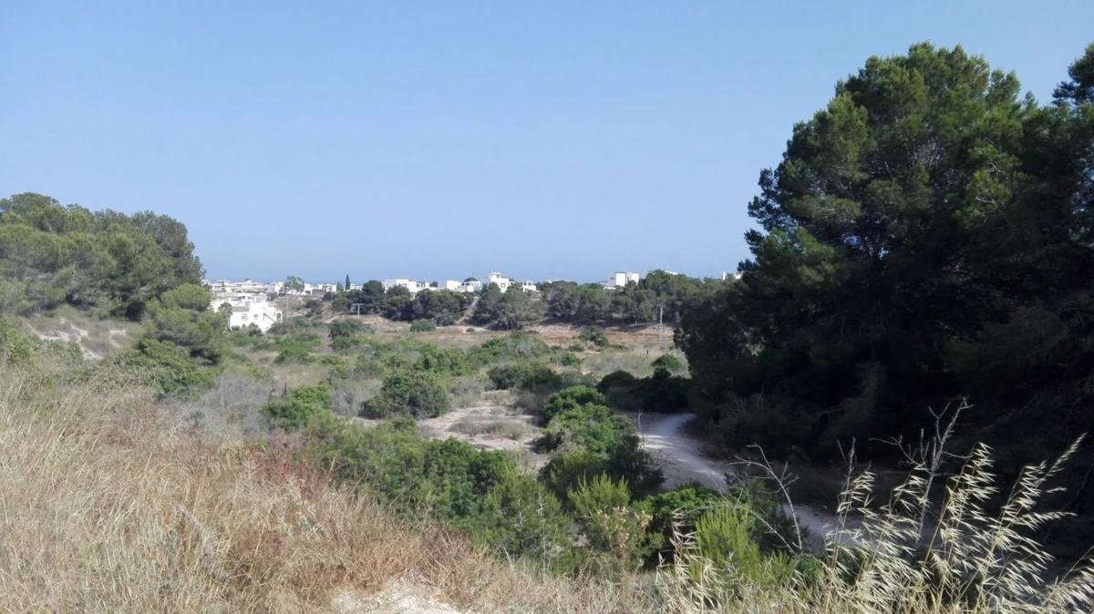 Land for sale in Orihuela, Alicante photo 5