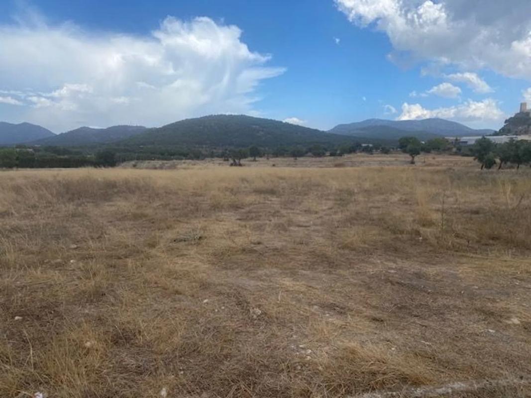 Terreno en venta en Biar, Alicante photo 1