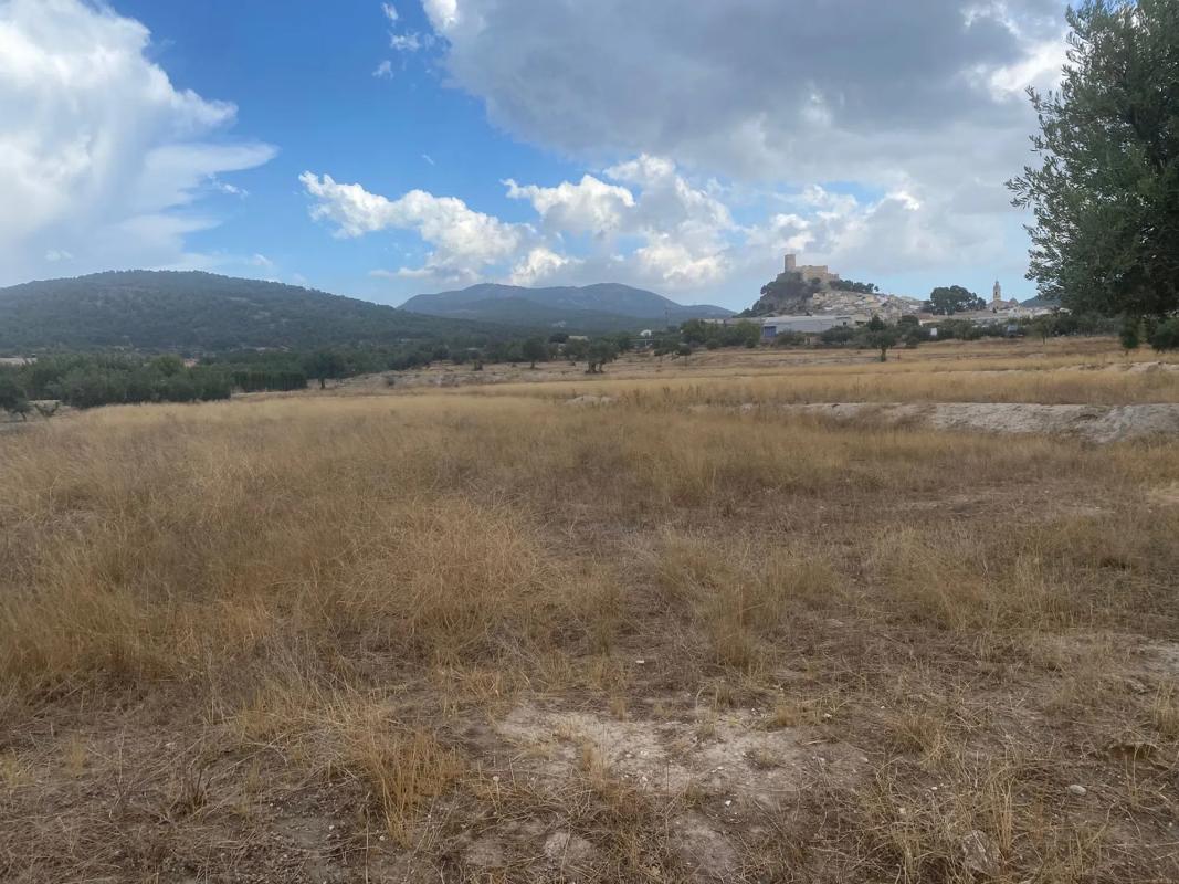 Terreno en venta en Biar, Alicante photo 2