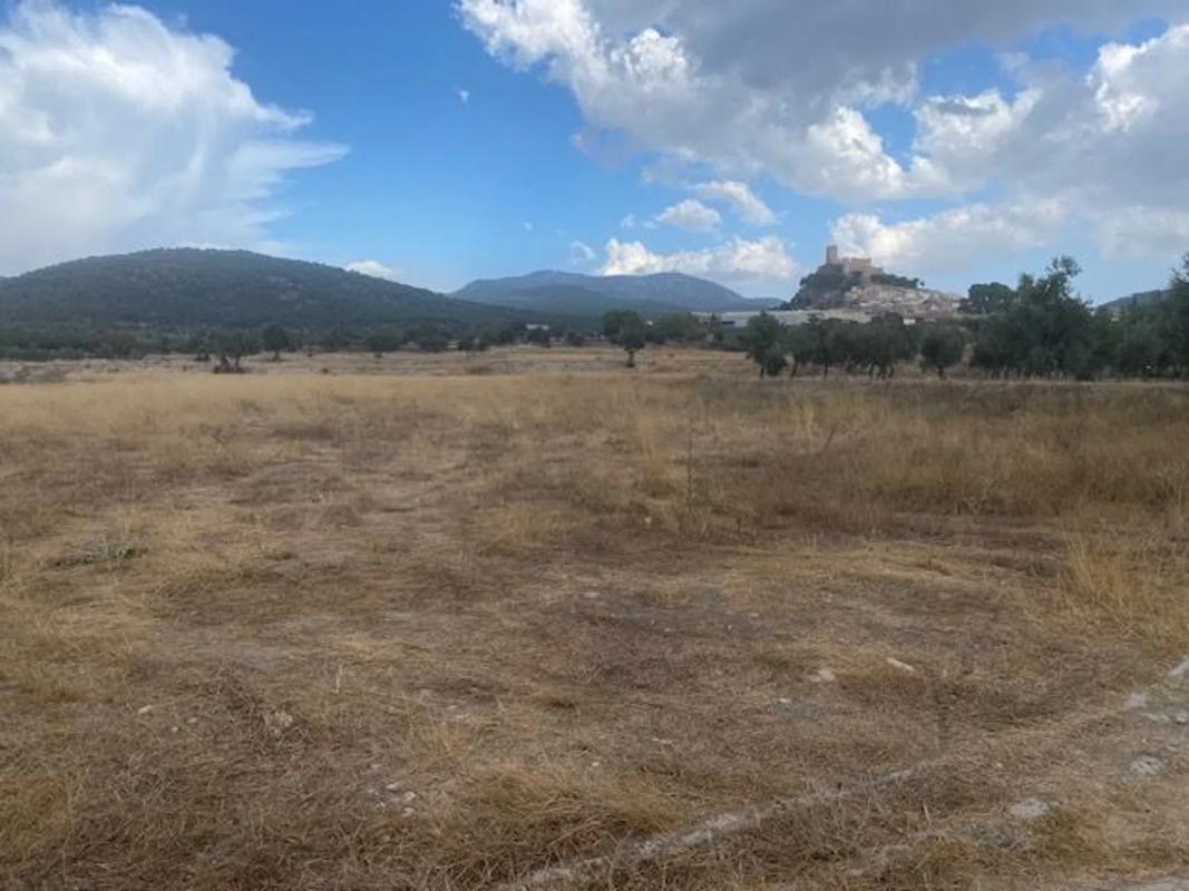 Terreno en venta en Biar, Alicante photo 4
