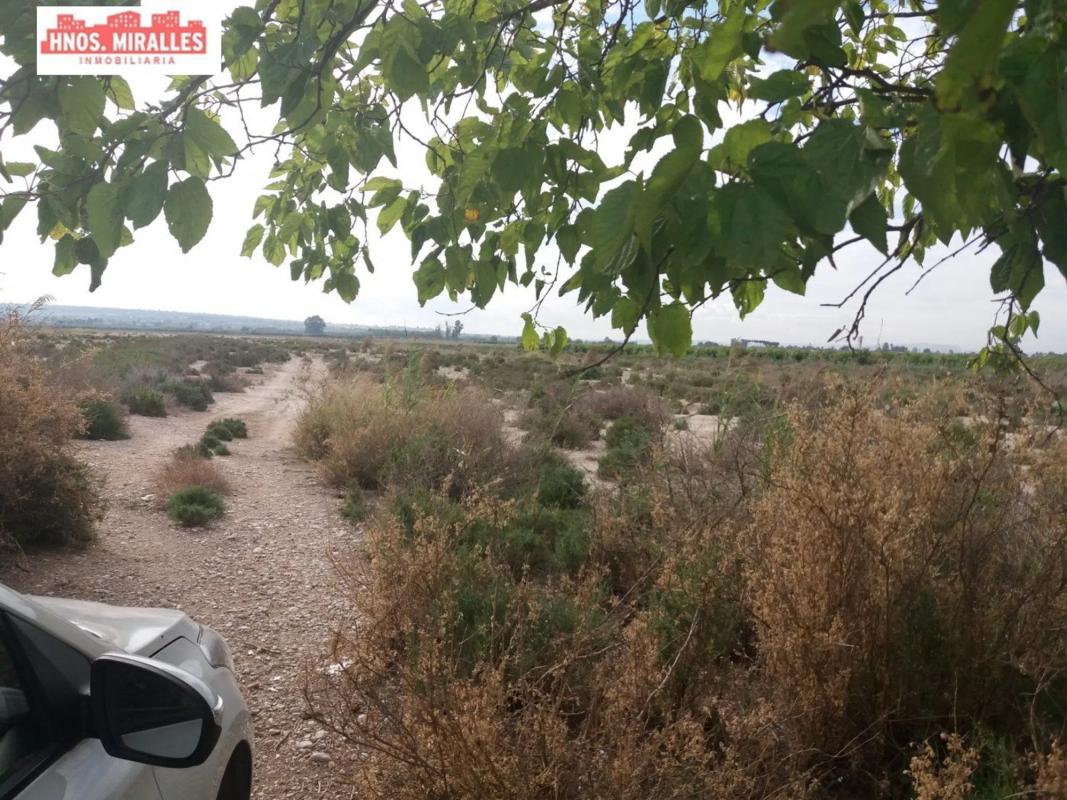 Terreno en venta en Elche / Elx, Alicante photo 2