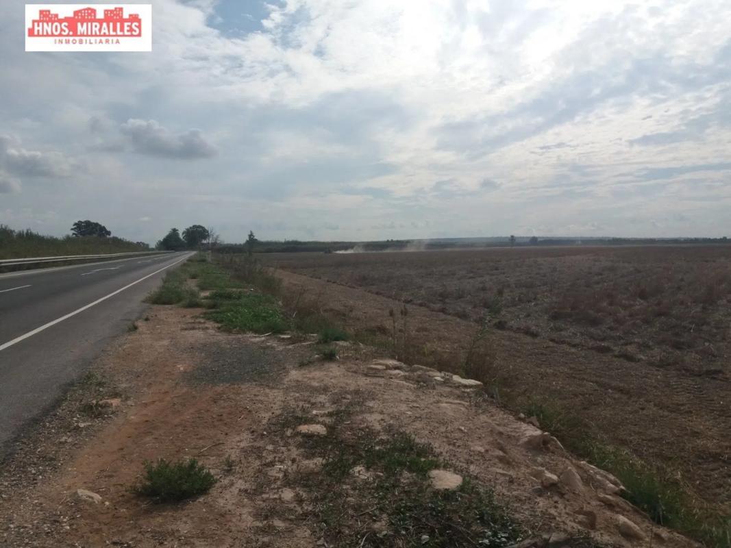 Terreno en venta en Elche / Elx, Alicante photo 3