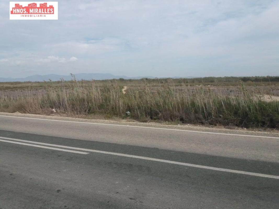 Terreno en venta en Elche / Elx, Alicante photo 4
