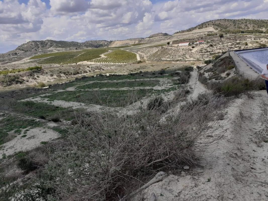 Terreno en venta en Orihuela, Alicante photo 4