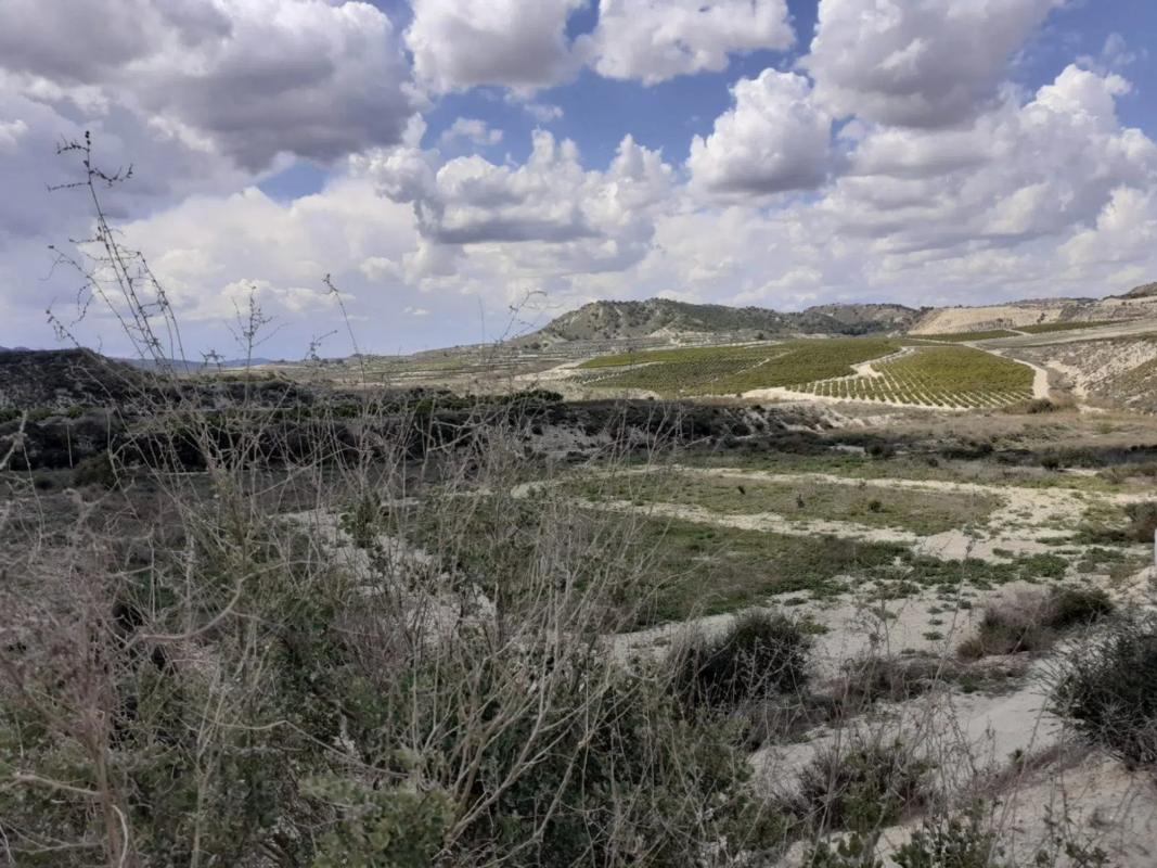 Terreno en venta en Orihuela, Alicante photo 5