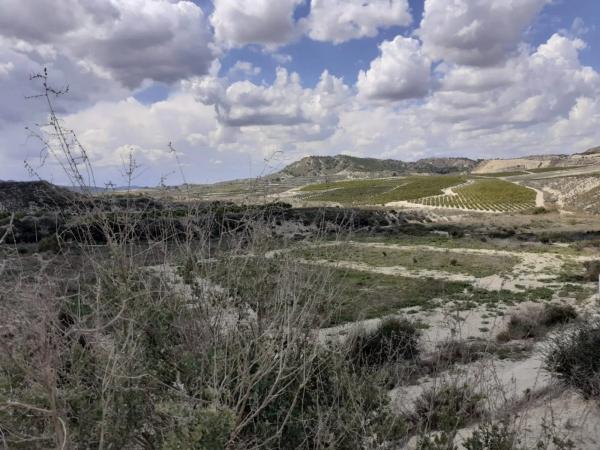 Terreno en Desamparados-Hurchillo-Torremendo thumbnail 2