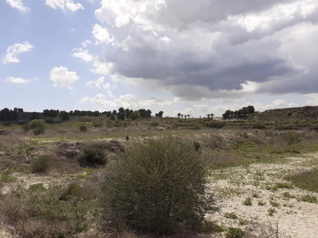 Terreno en venta en Orihuela, Alicante photo 4
