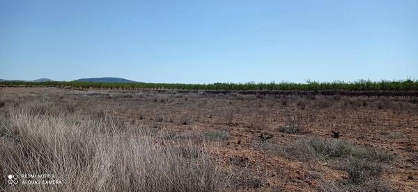 Terreno en via sense nom s/n photo 1