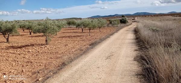 Terreno en via sense nom s/n photo 3