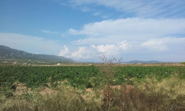 Terreno en via sense nom s/n photo 4