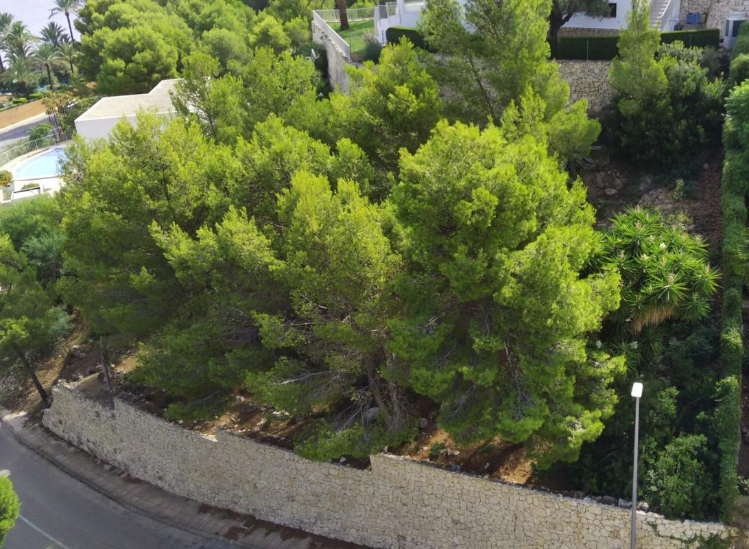 Terreno en venta en Denia, Alicante photo 2
